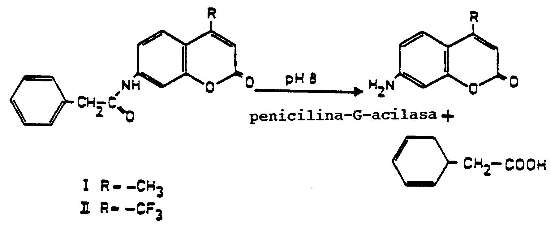 Opiniones de penicilina acilasa
