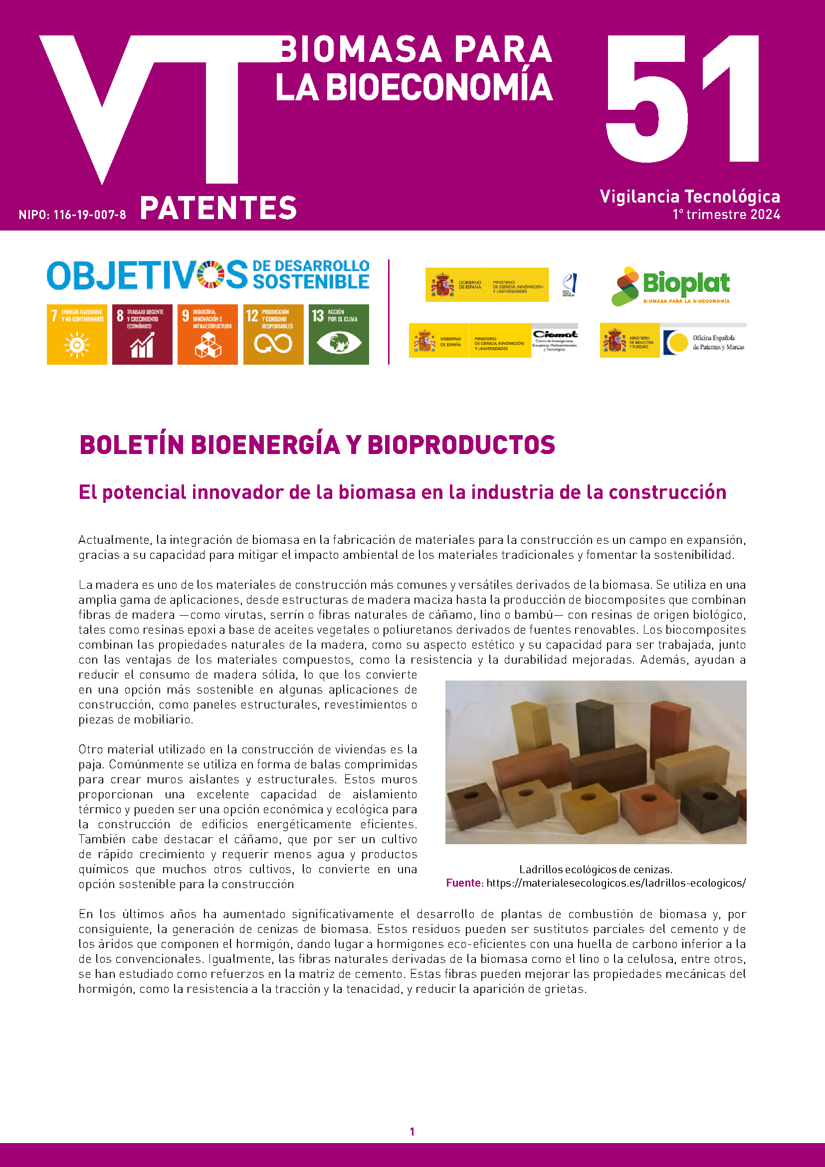 Imagen opti_BVT_EnergiasRenovablesBiomasa_51.pdf
