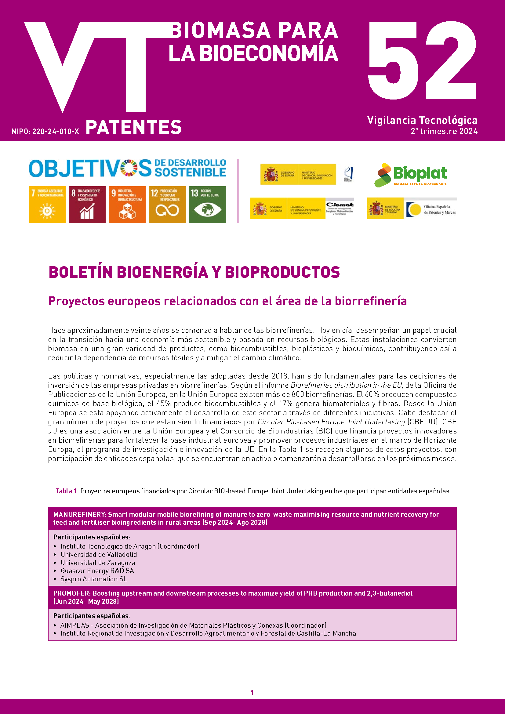Imagen opti_BVT_EnergiasRenovablesBiomasa_52.pdf