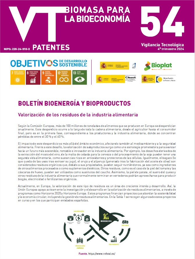 Imagen opti_BVT_EnergiasRenovablesBiomasa_54.pdf