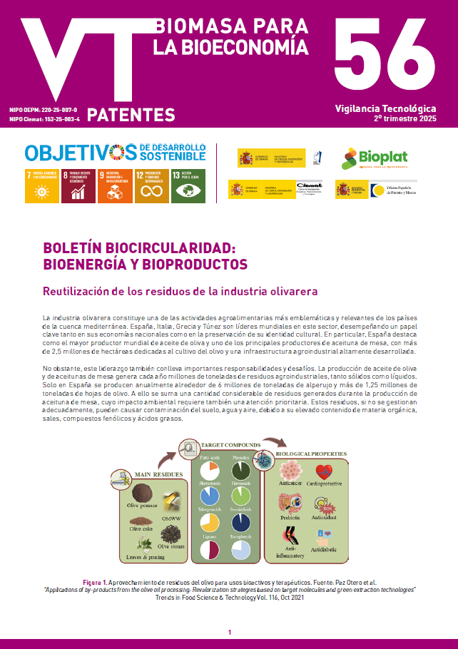 Imagen opti_BVT_EnergiasRenovablesBiomasa_56.pdf