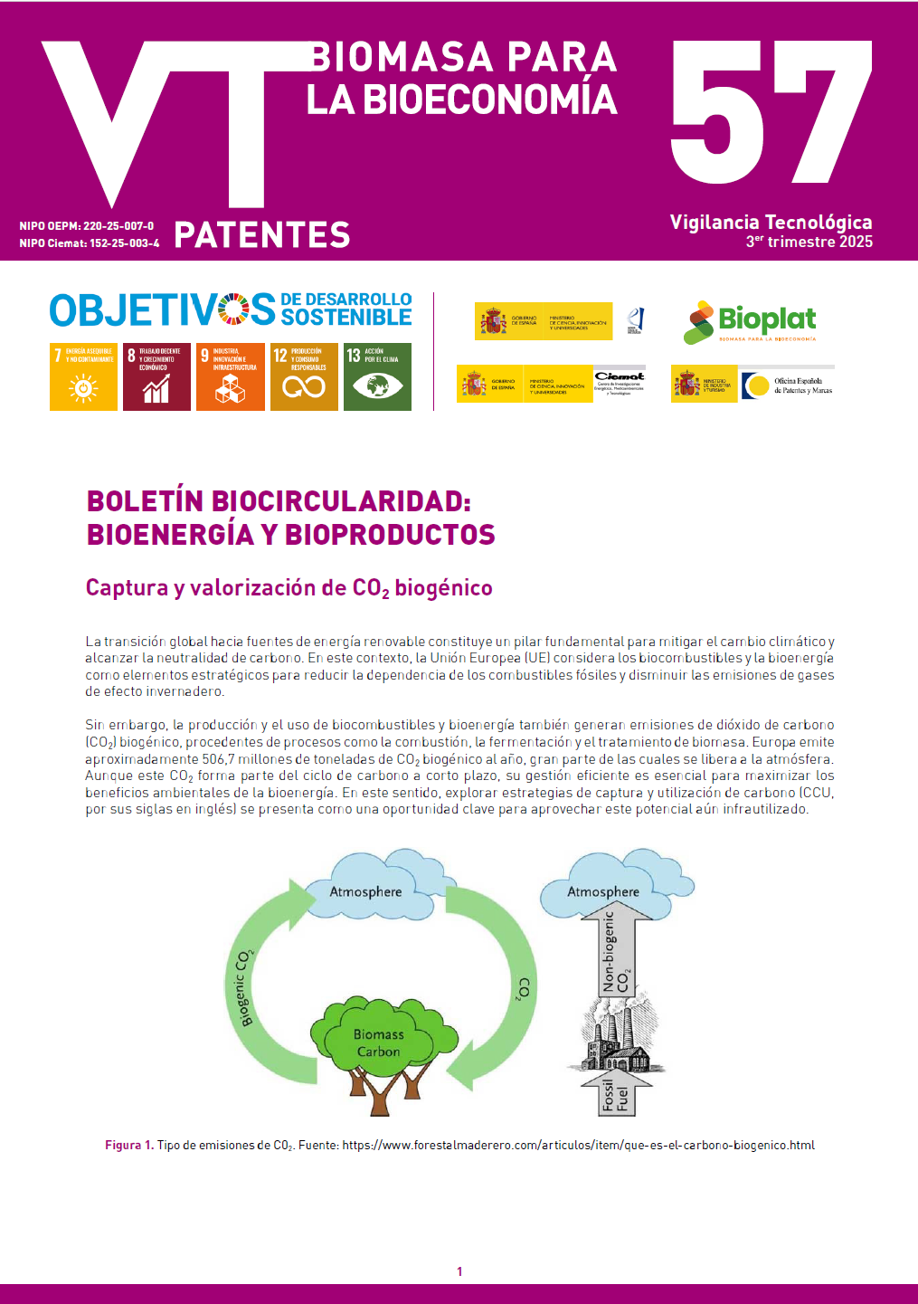 Imagen opti_BVT_EnergiasRenovablesBiomasa_57.pdf