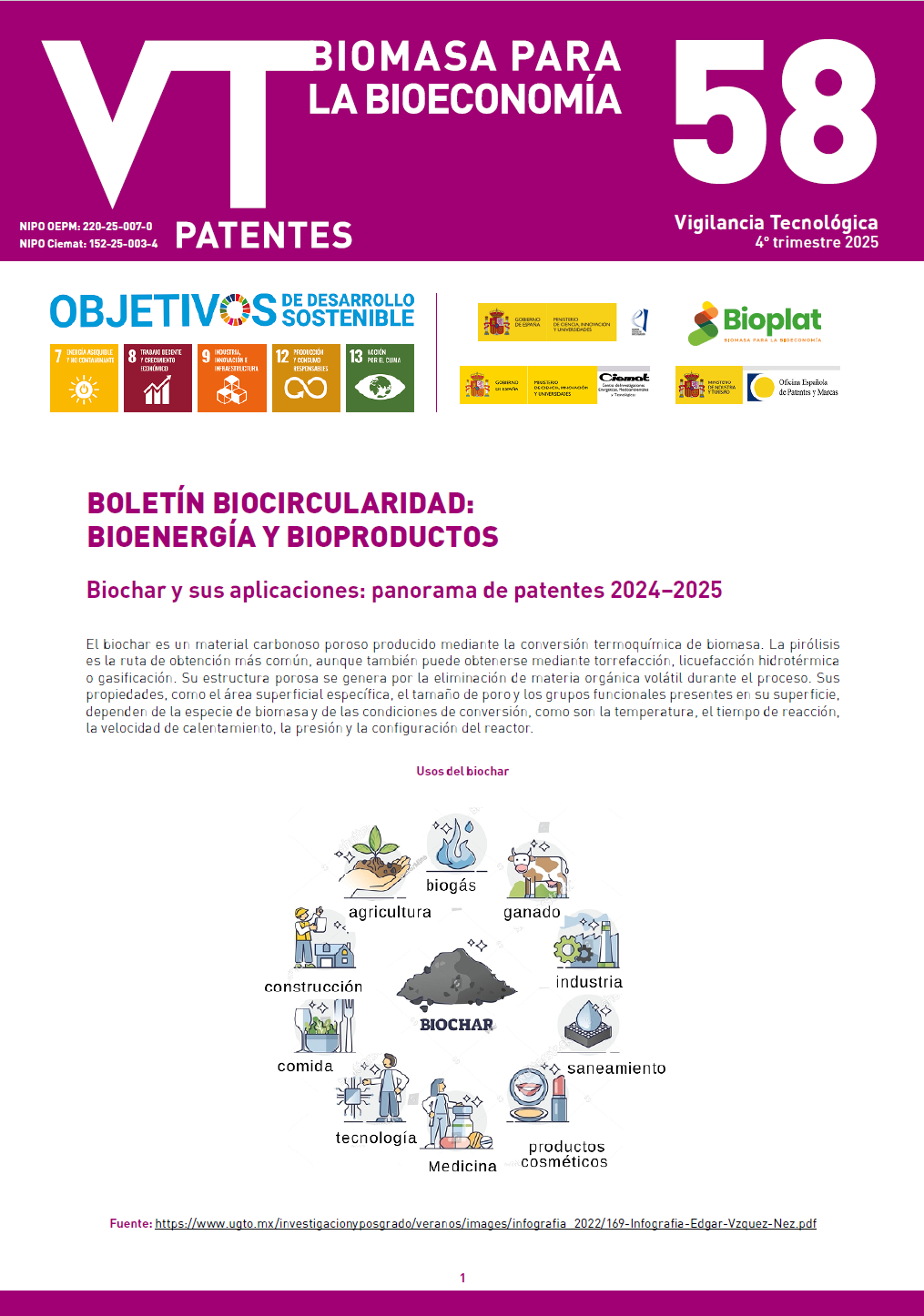 Imagen opti_BVT_EnergiasRenovablesBiomasa_58.pdf