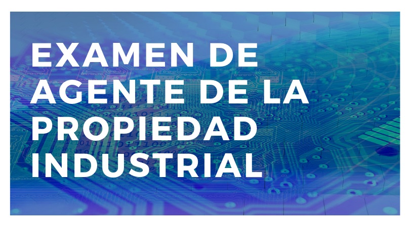Imagen Noticia 5