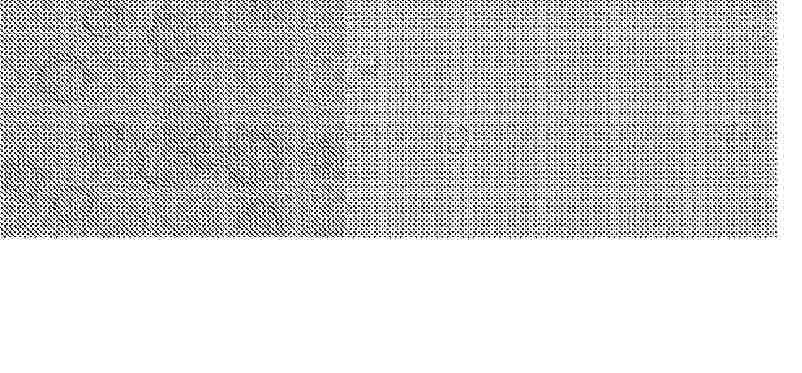 AU_2024387147_PA