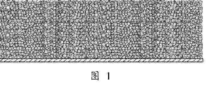 AU_2024418603_PA