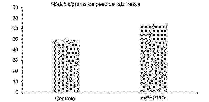BR_122023021437_PA