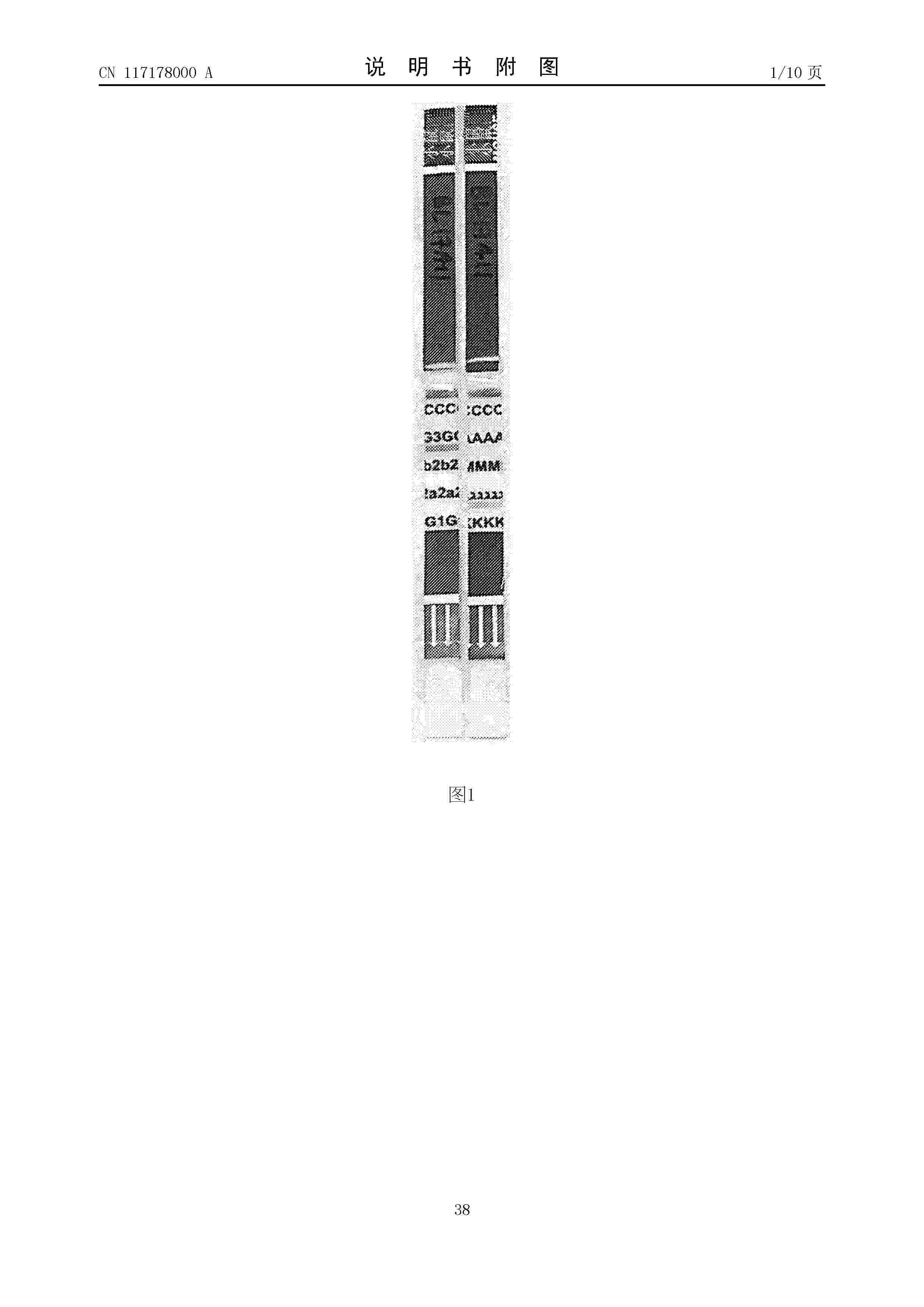 CN_117178000_A