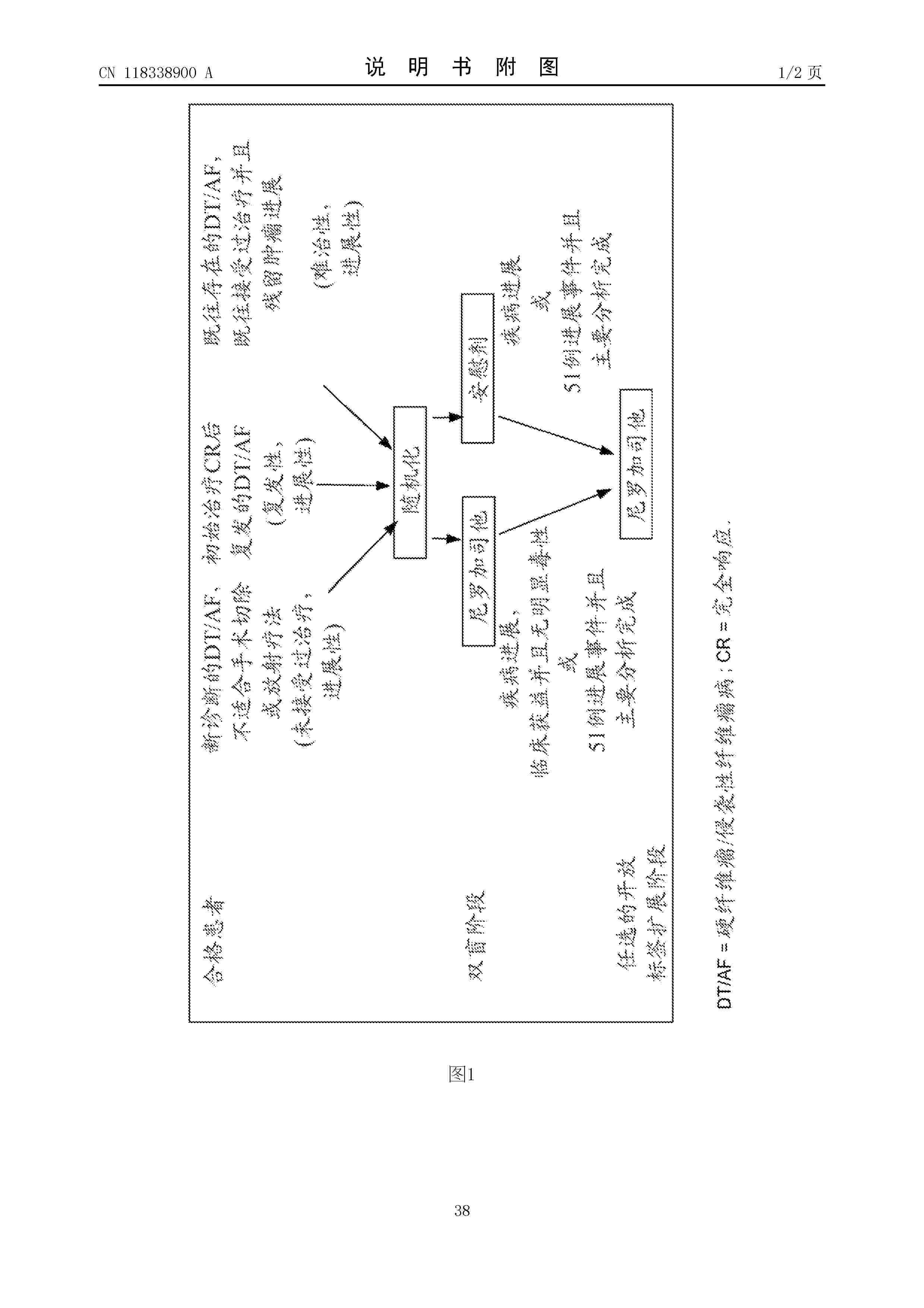 CN_118338900_A