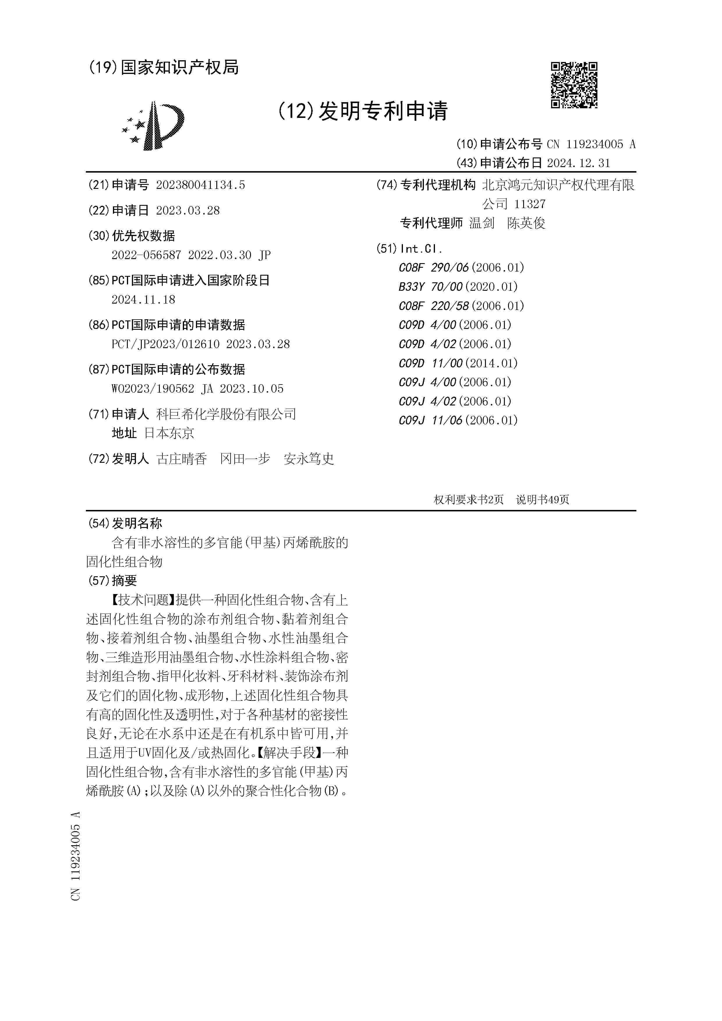 CN_119234005_A