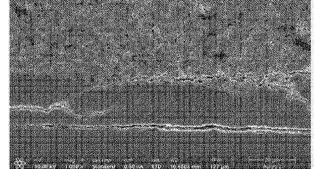 CN_119452480_PA