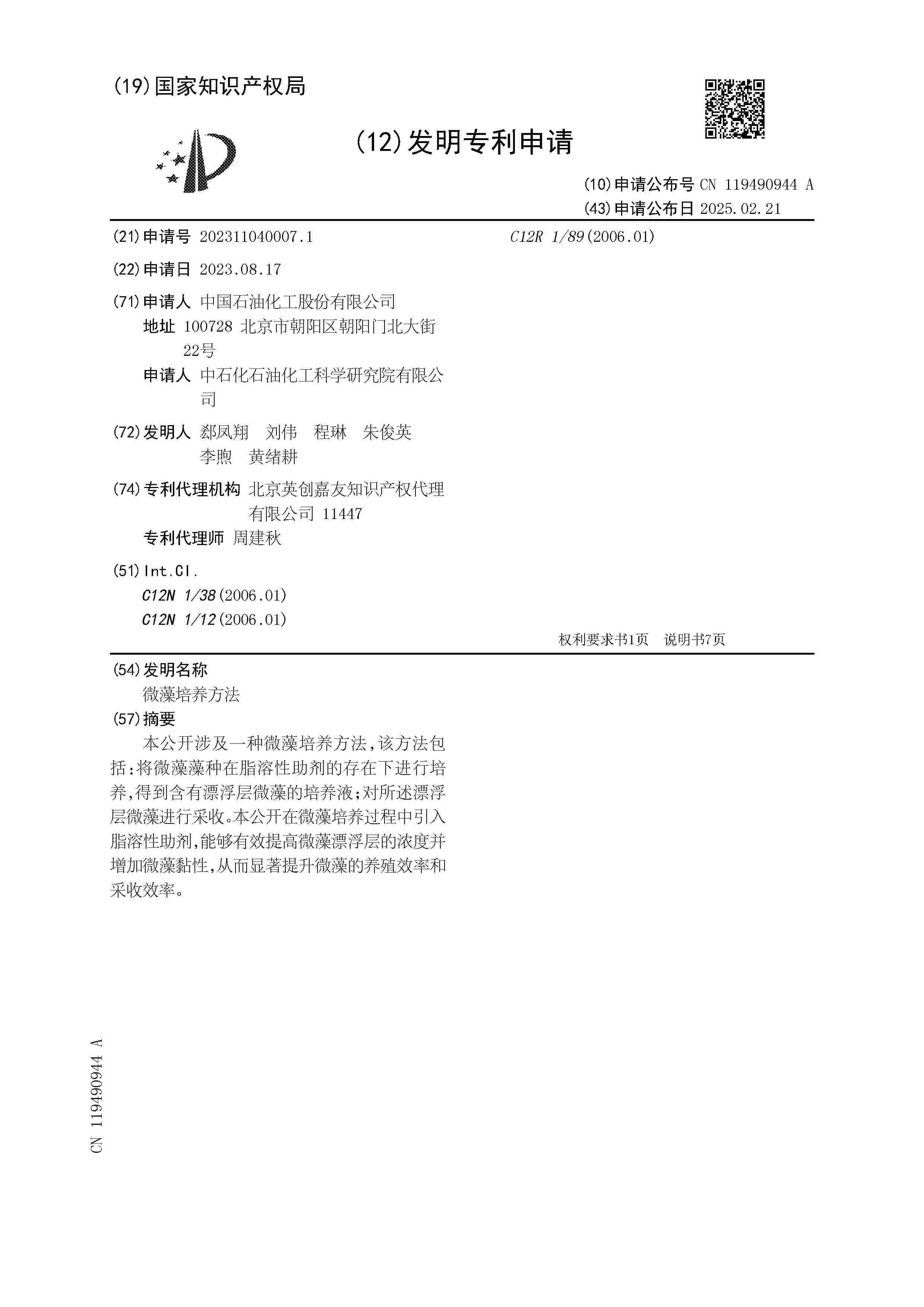CN_119490944_A