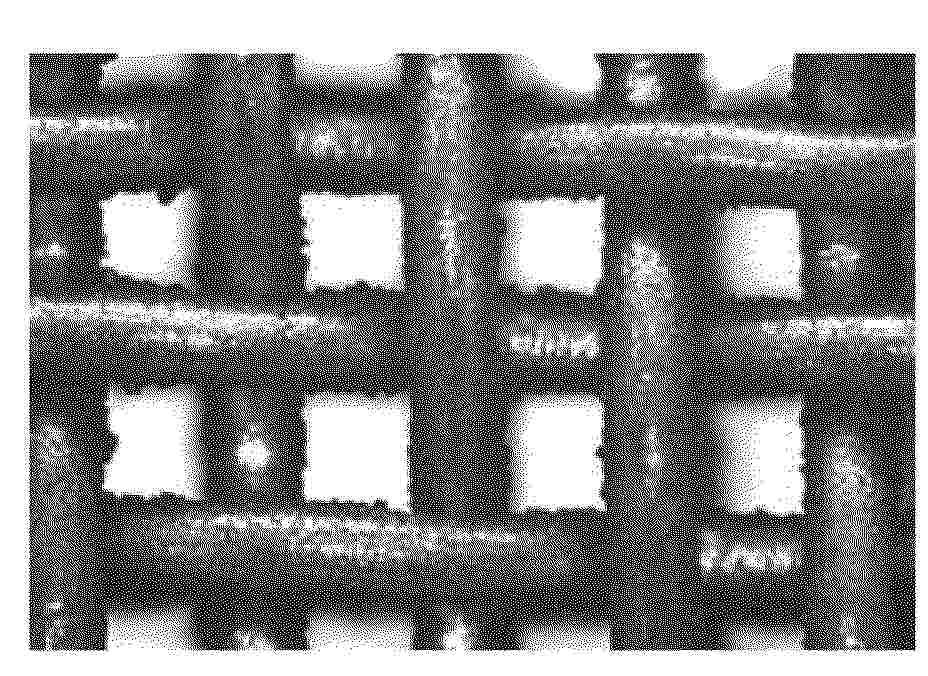 CN_119776895_PA