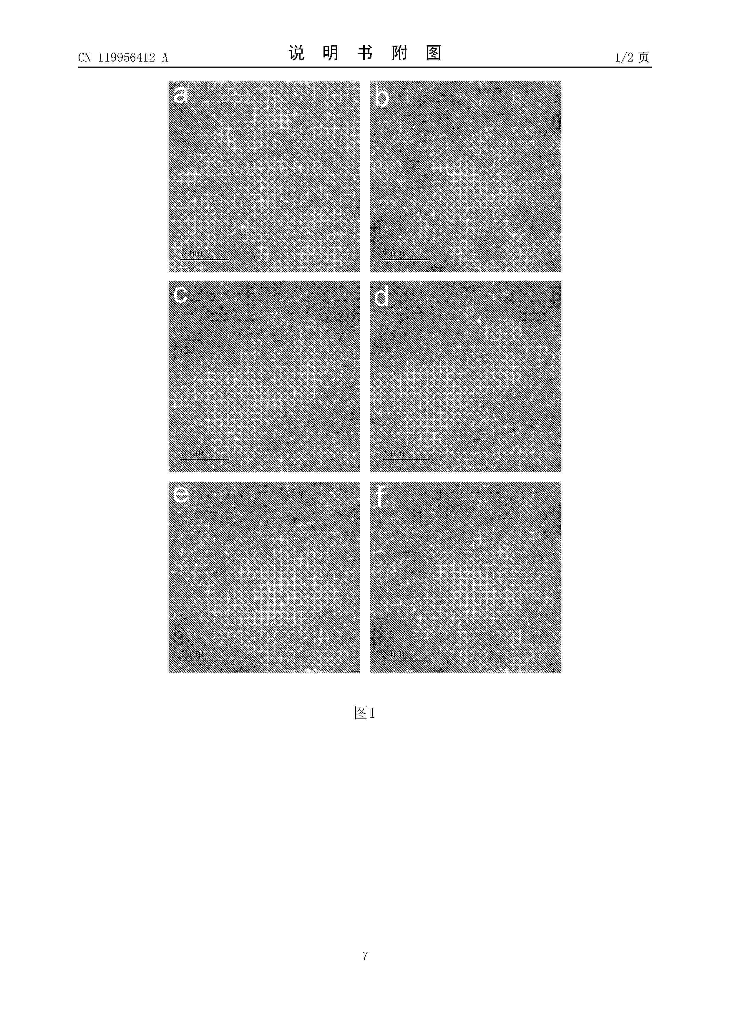CN_119956412_A