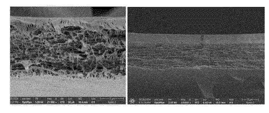CN_120073008_PA