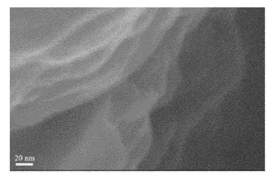 CN_120089705_PA