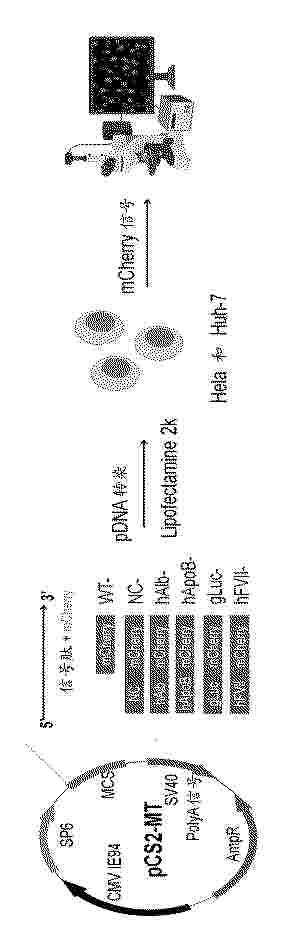 CN_120129751_PA
