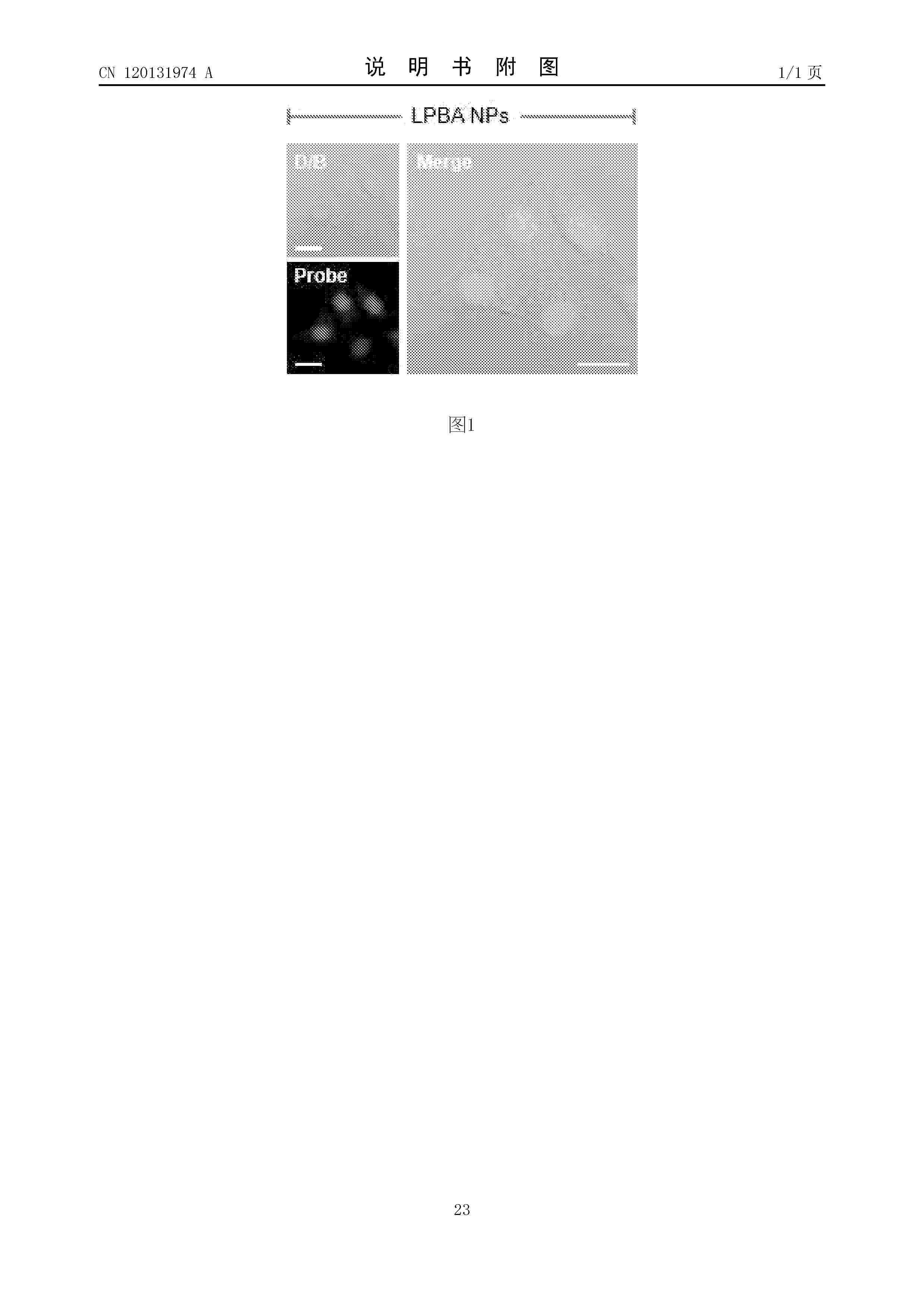 CN_120131974_A