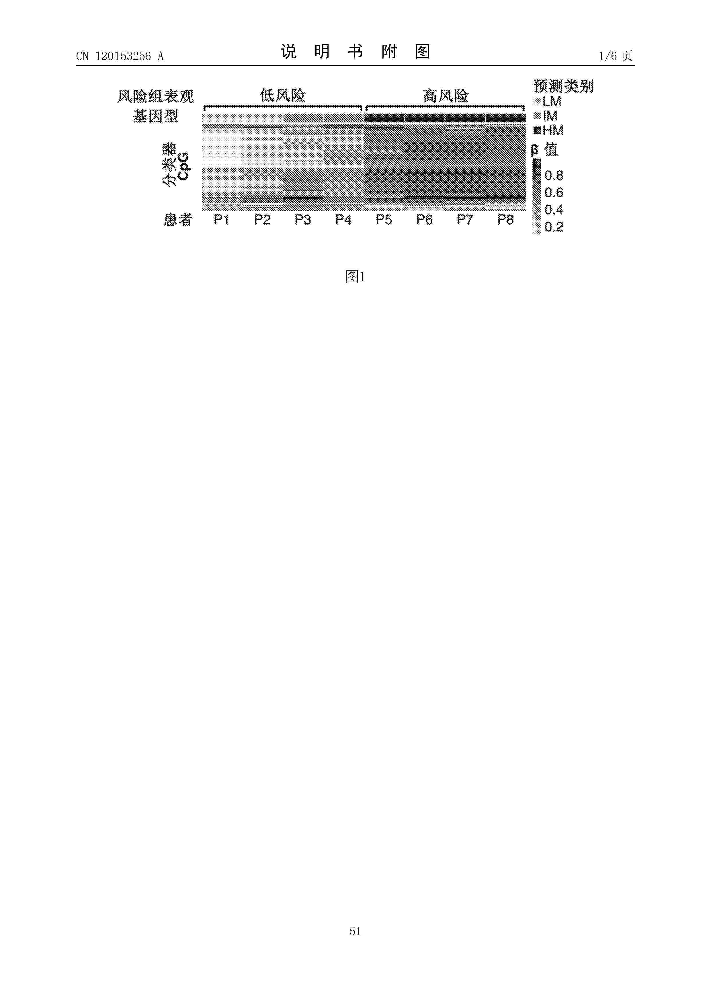 CN_120153256_A