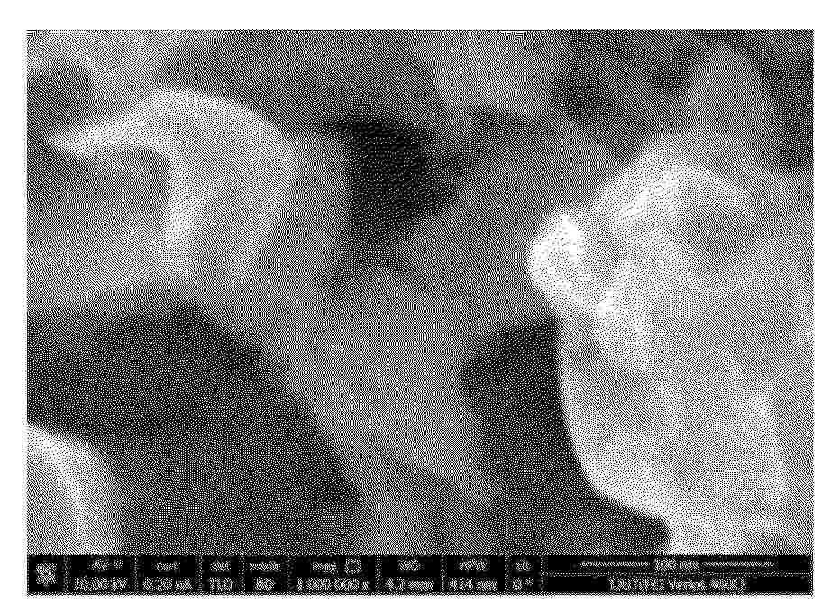 CN_120300199_PA