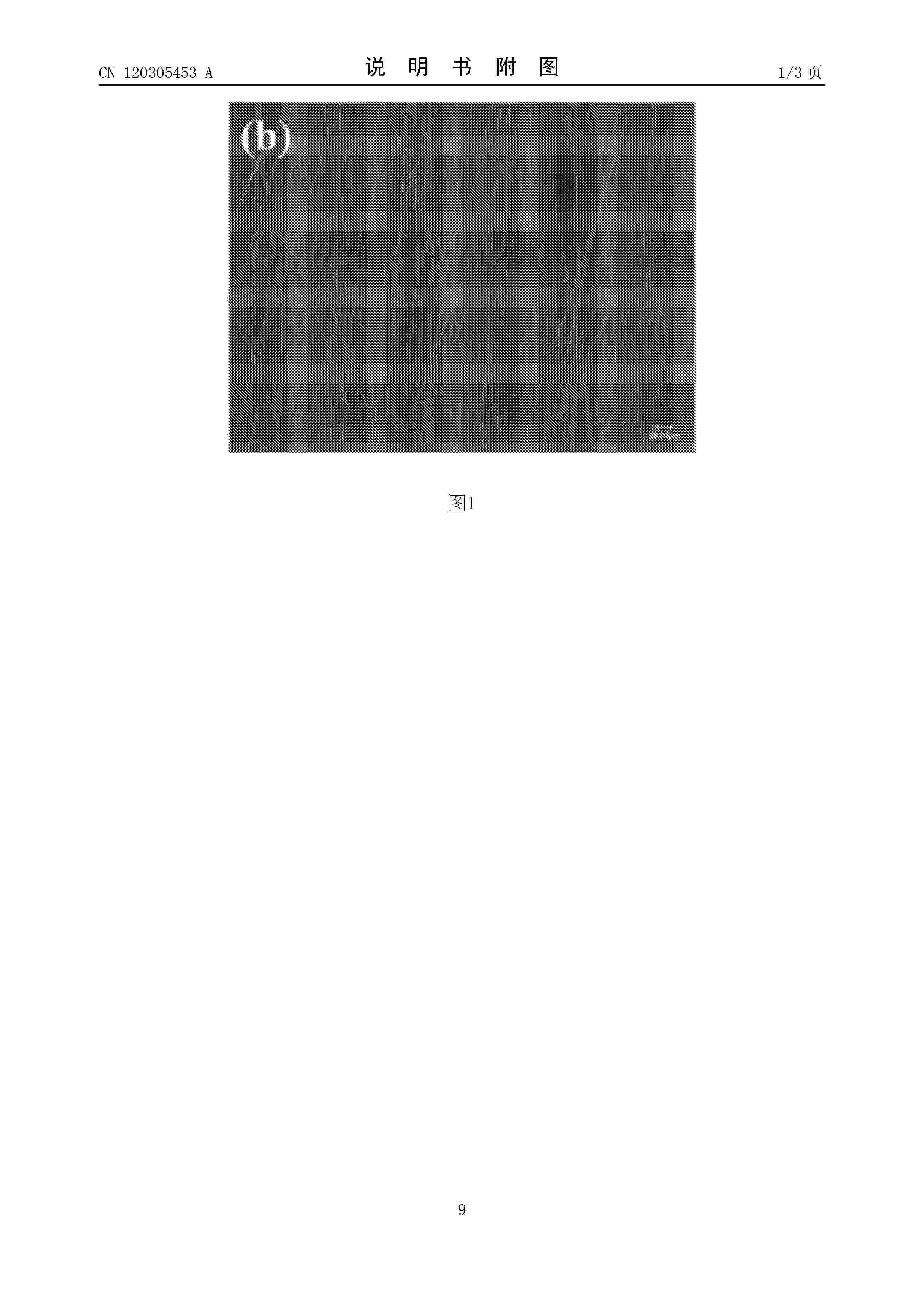 CN_120305453_A