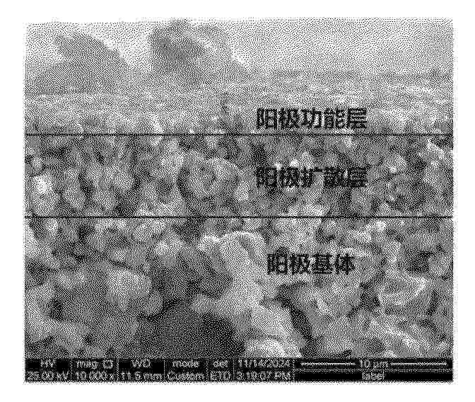 CN_120341294_PA