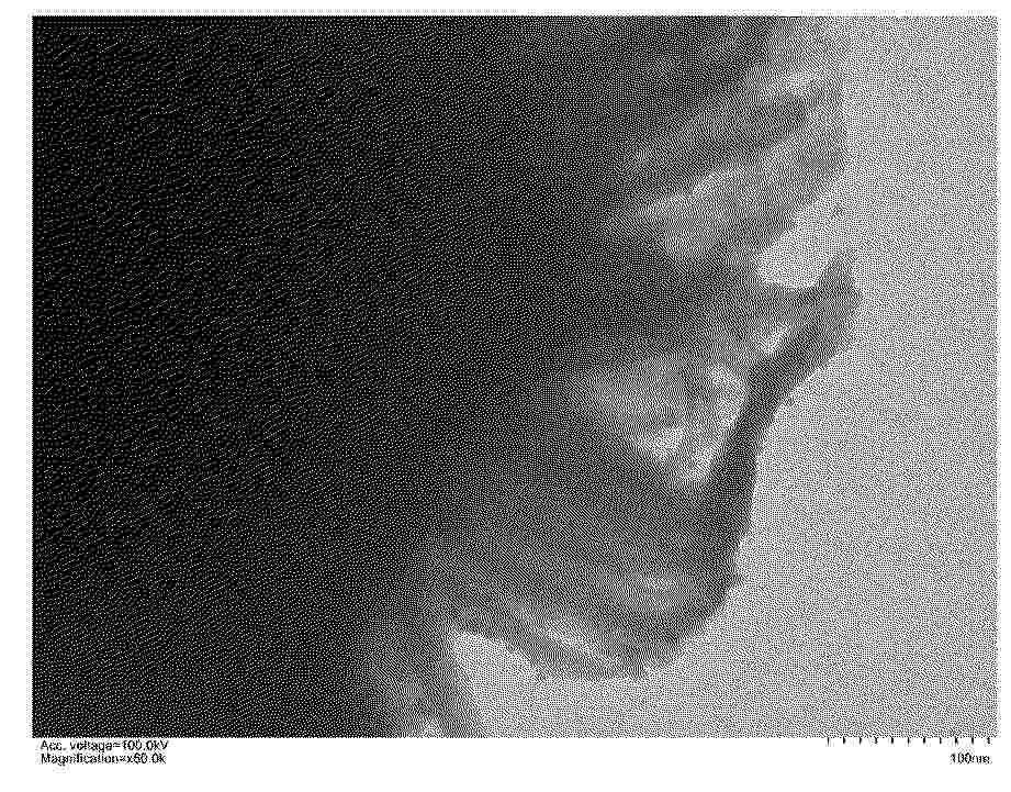CN_120556073_PA