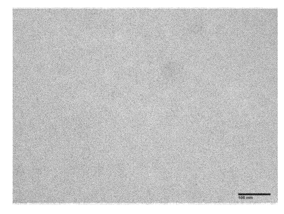 CN_120674538_PA