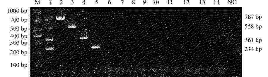 CN_121737324_PA