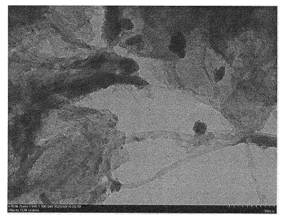 CN_121929740_PA