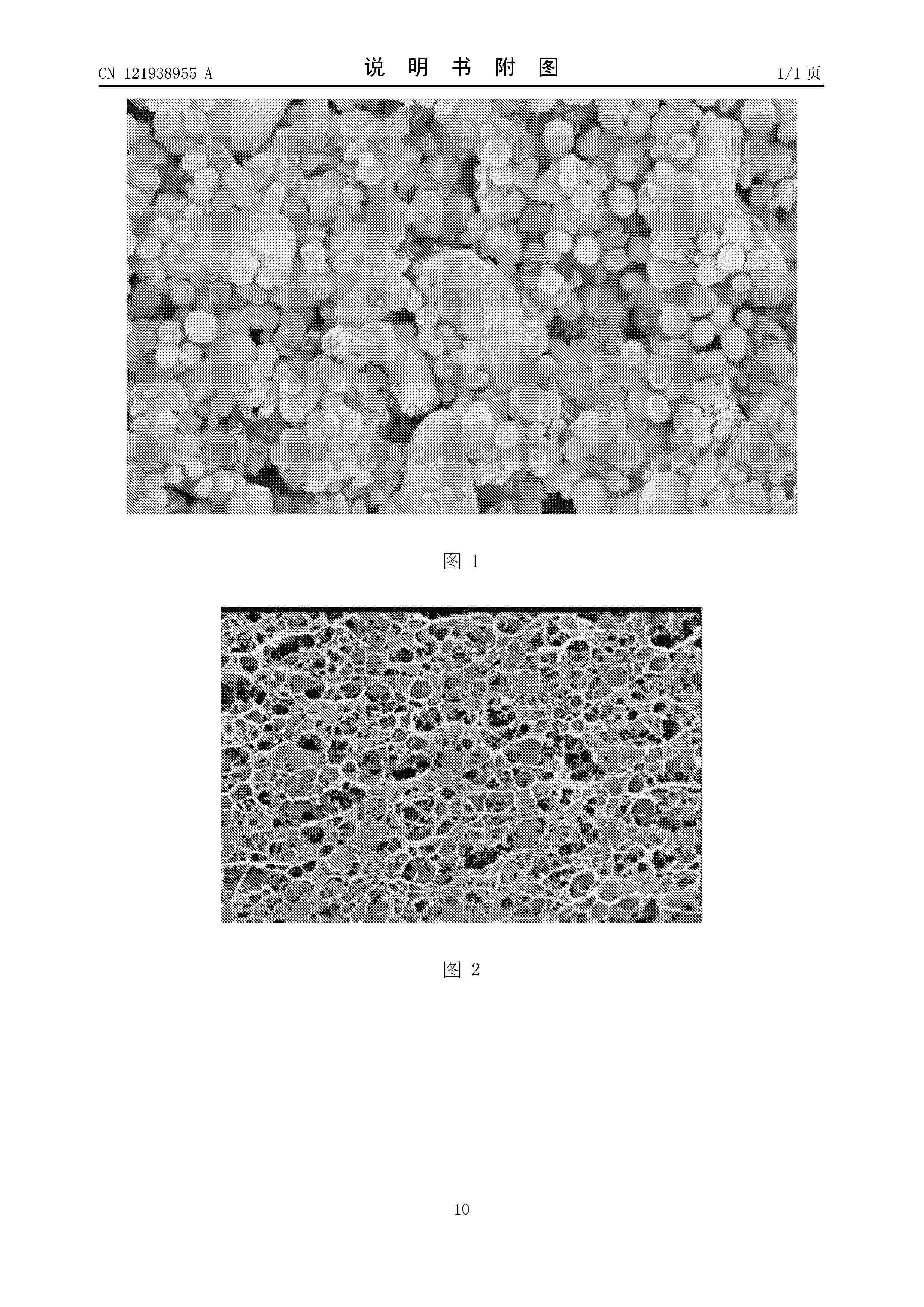 CN_121938955_A