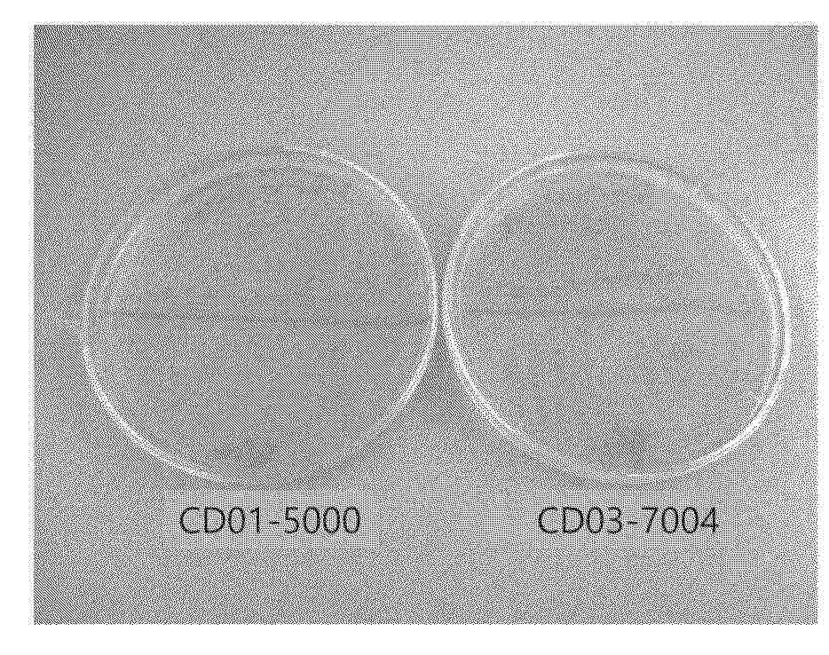 CN_121941418_PA