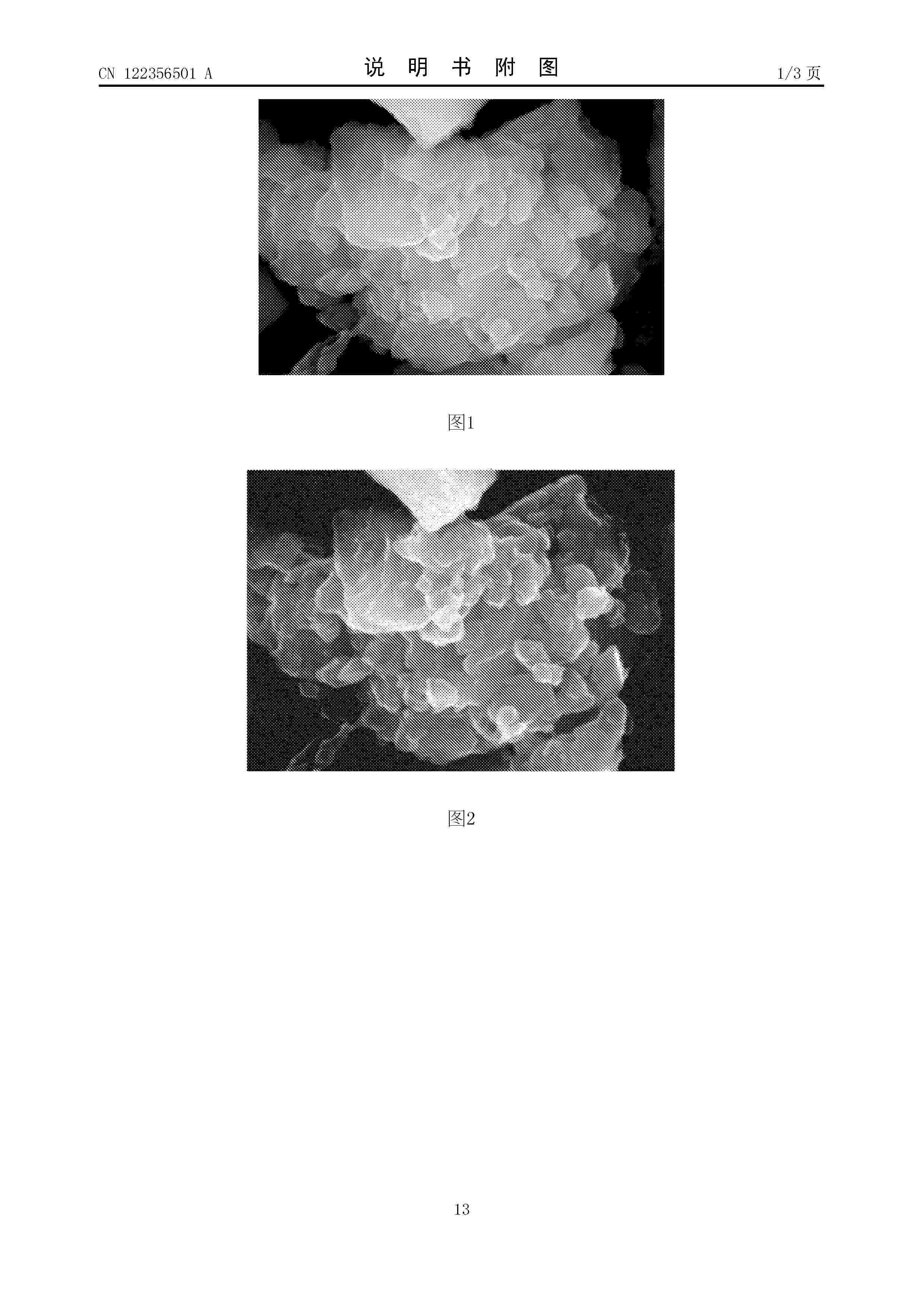CN_122356501_A