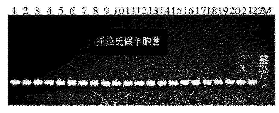 CN_122405862_PA