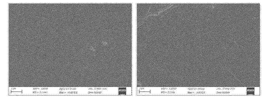 CN_122907665_PA
