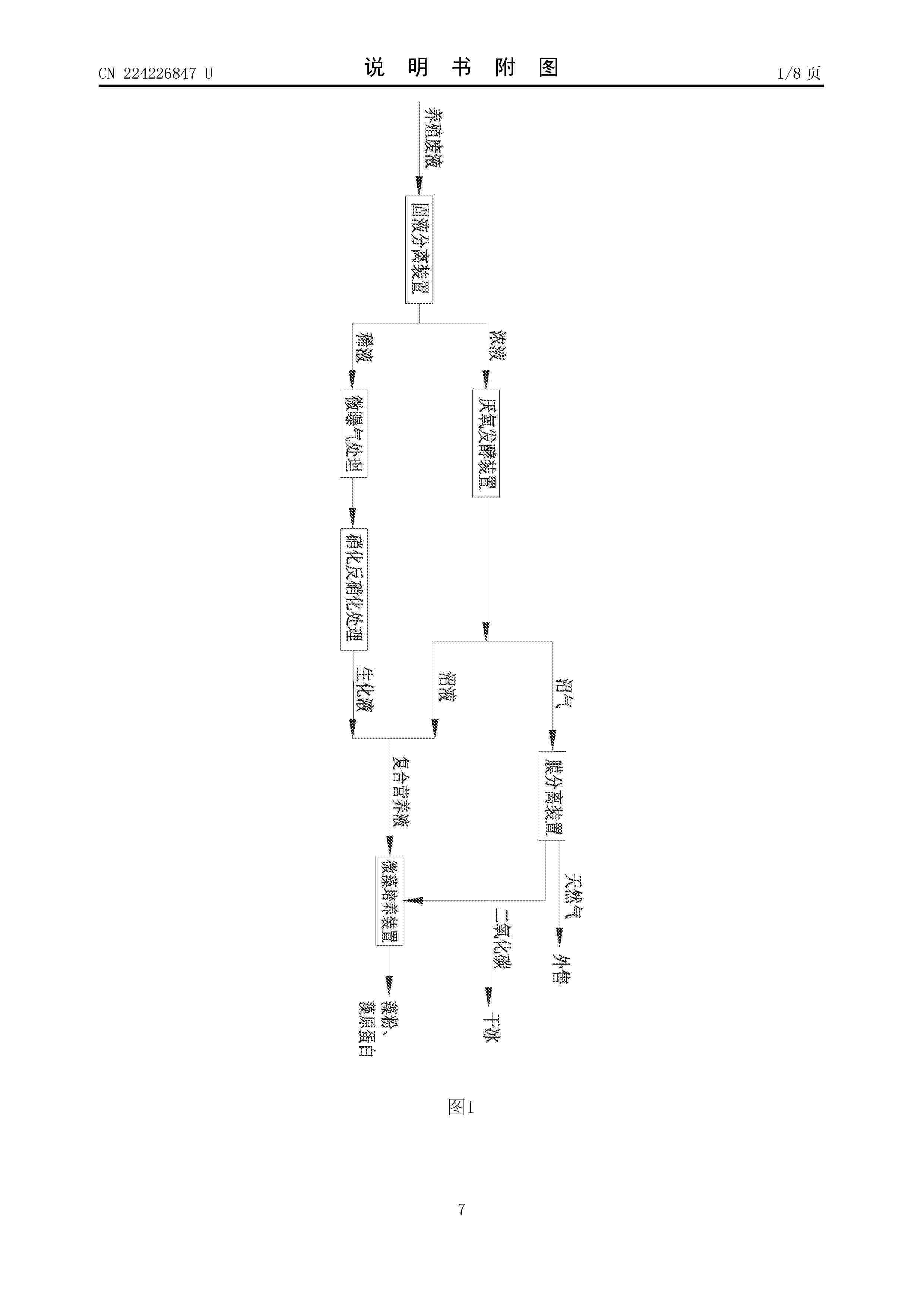 CN_224226847_U