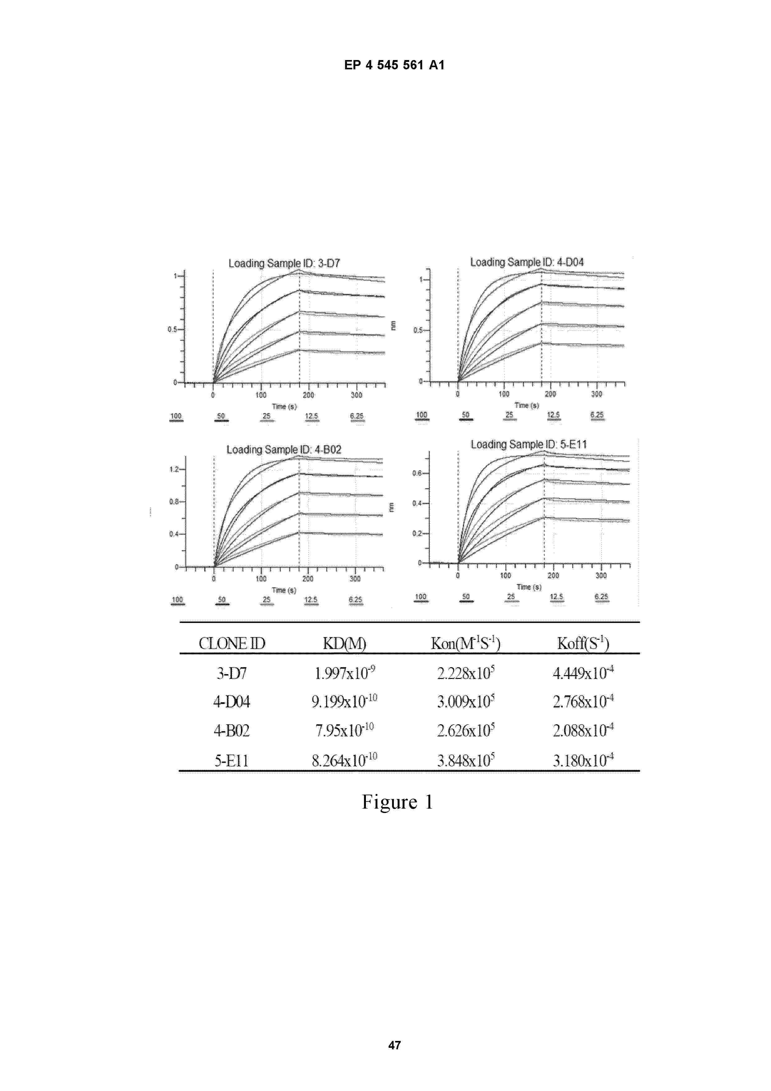 EP_4545561_A1