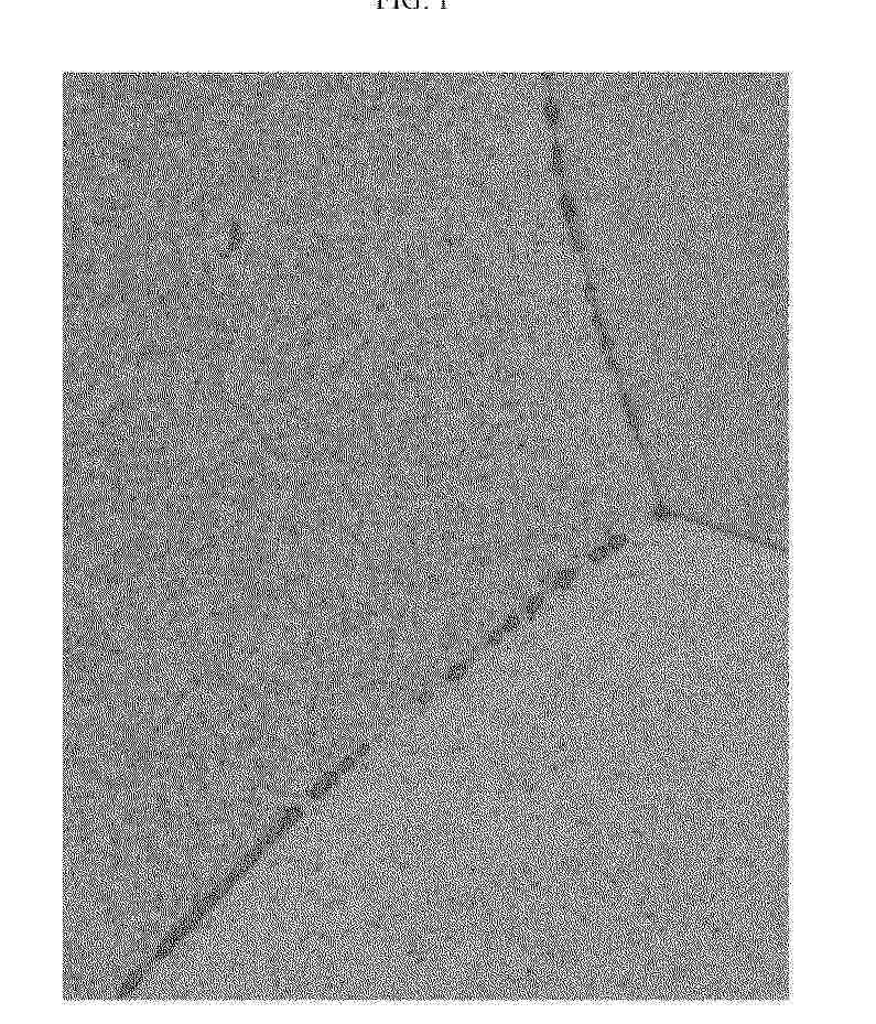 EP_4570941_PA