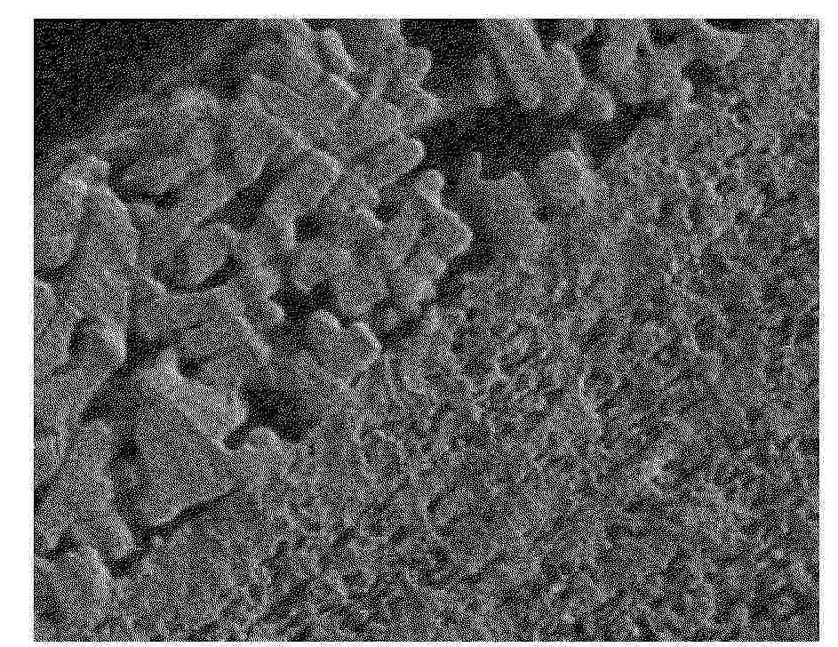EP_4583295_PA