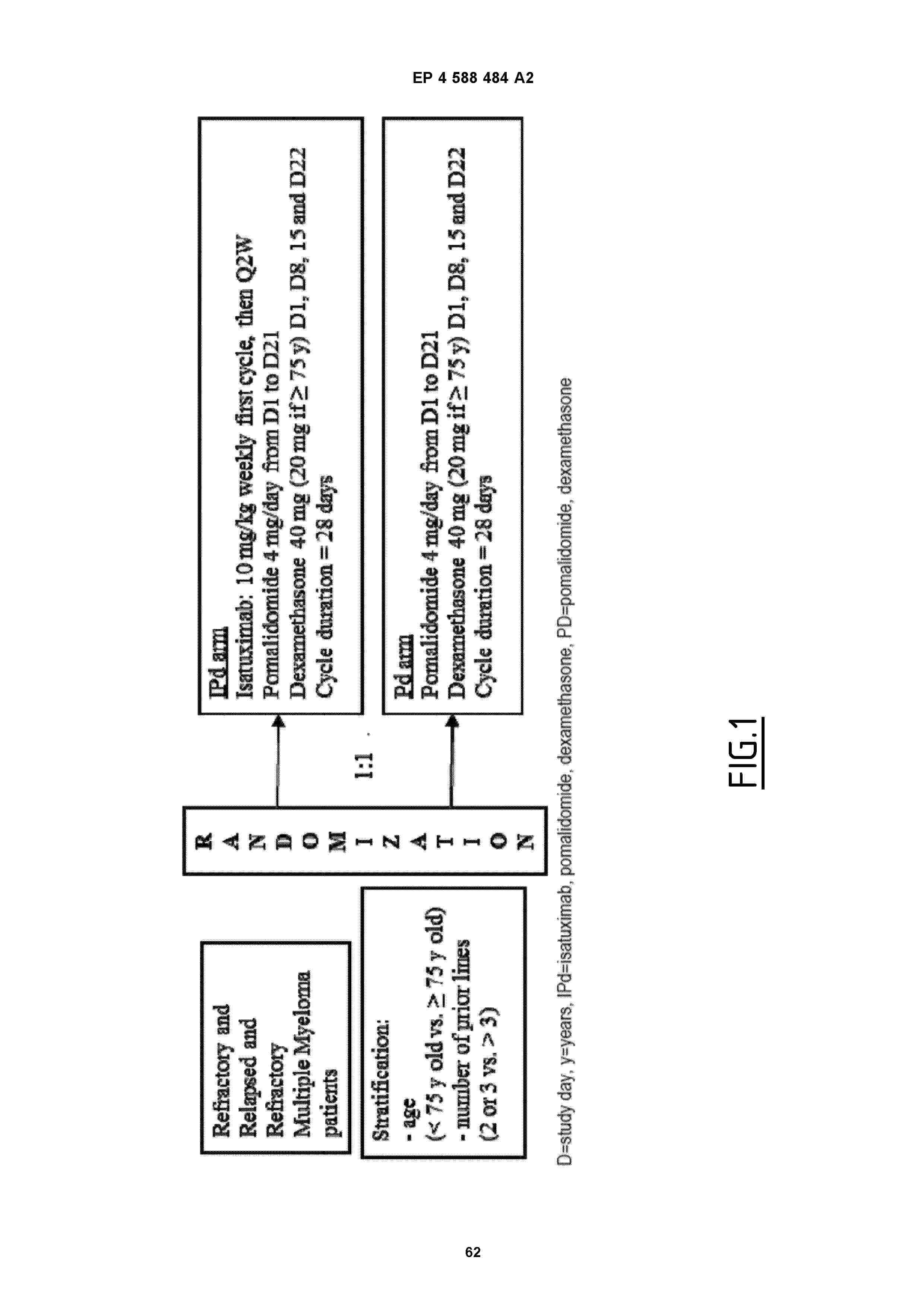 EP_4588484_A2