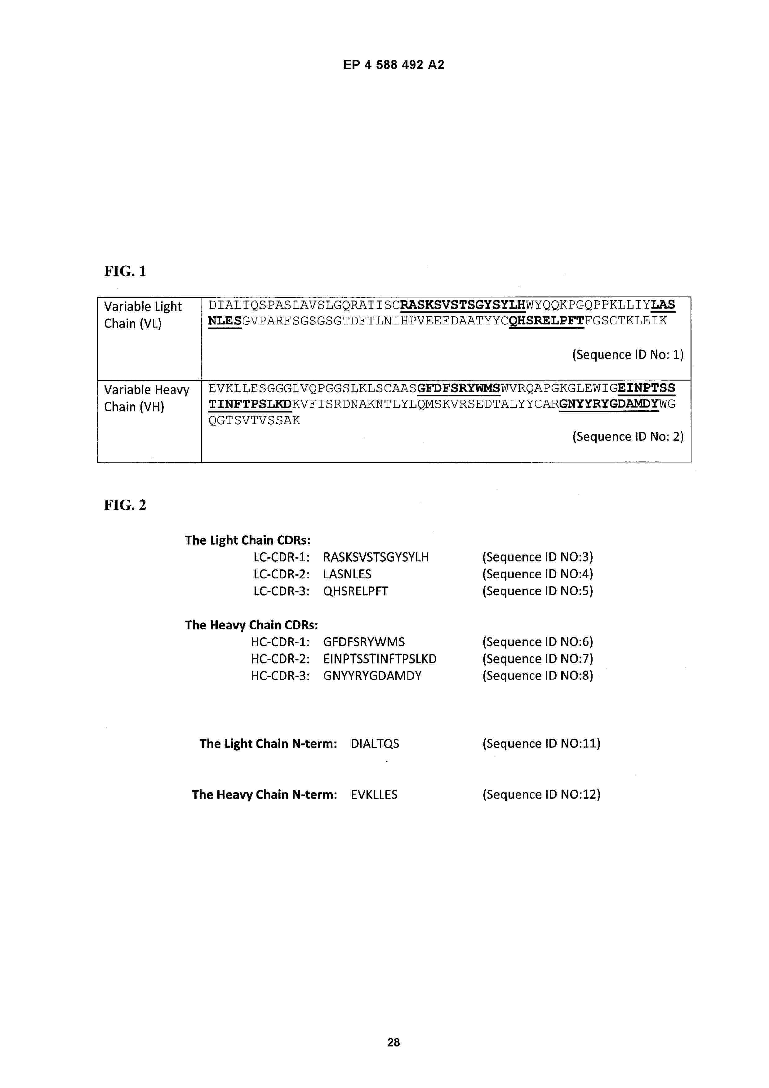 EP_4588492_A2