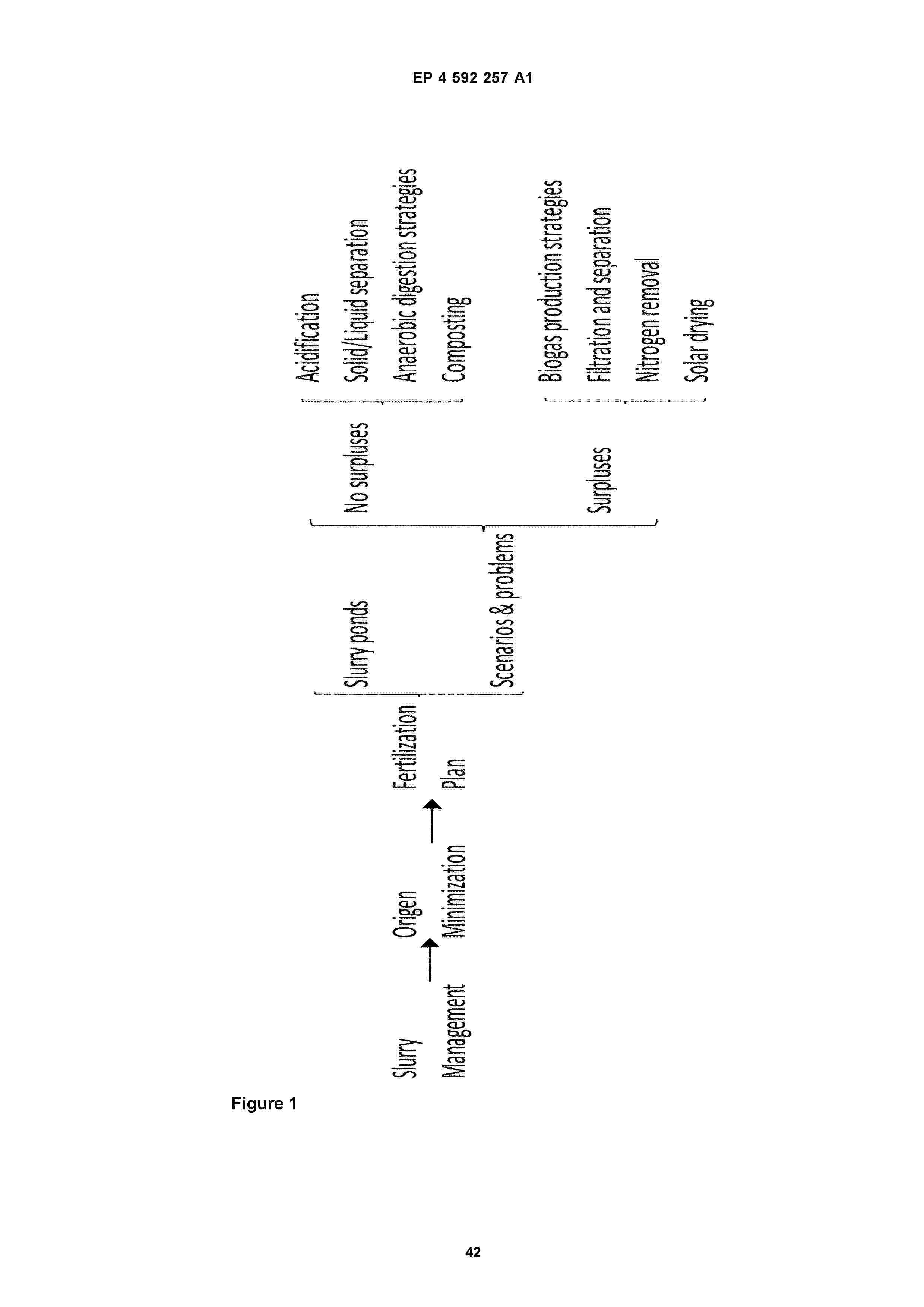 EP_4592257_A1