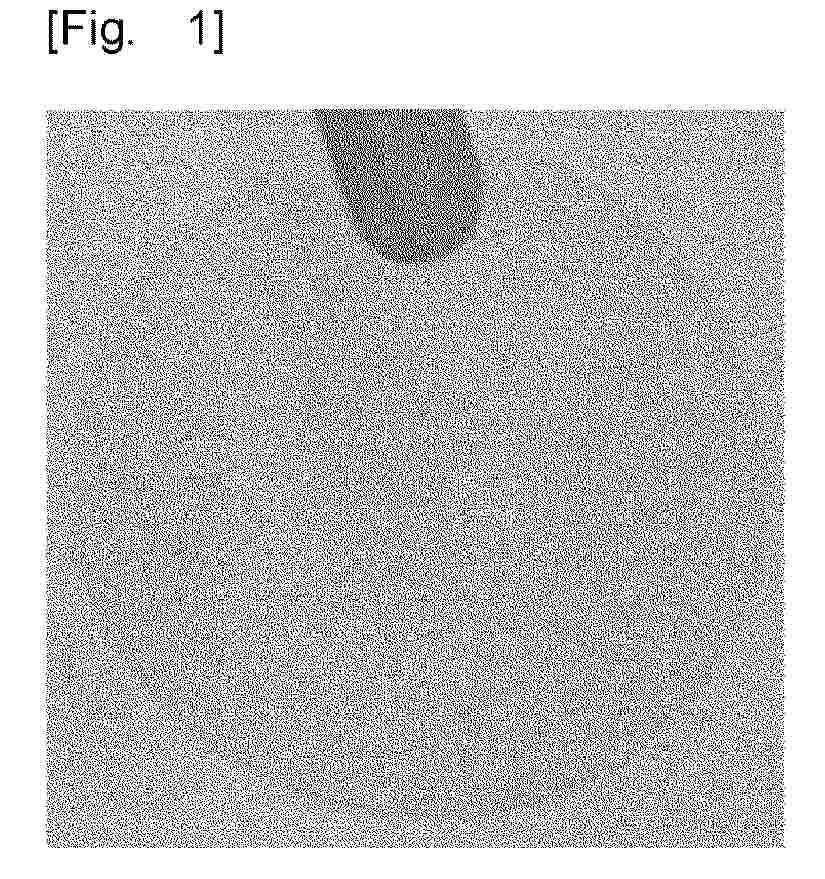 EP_4600283_PA