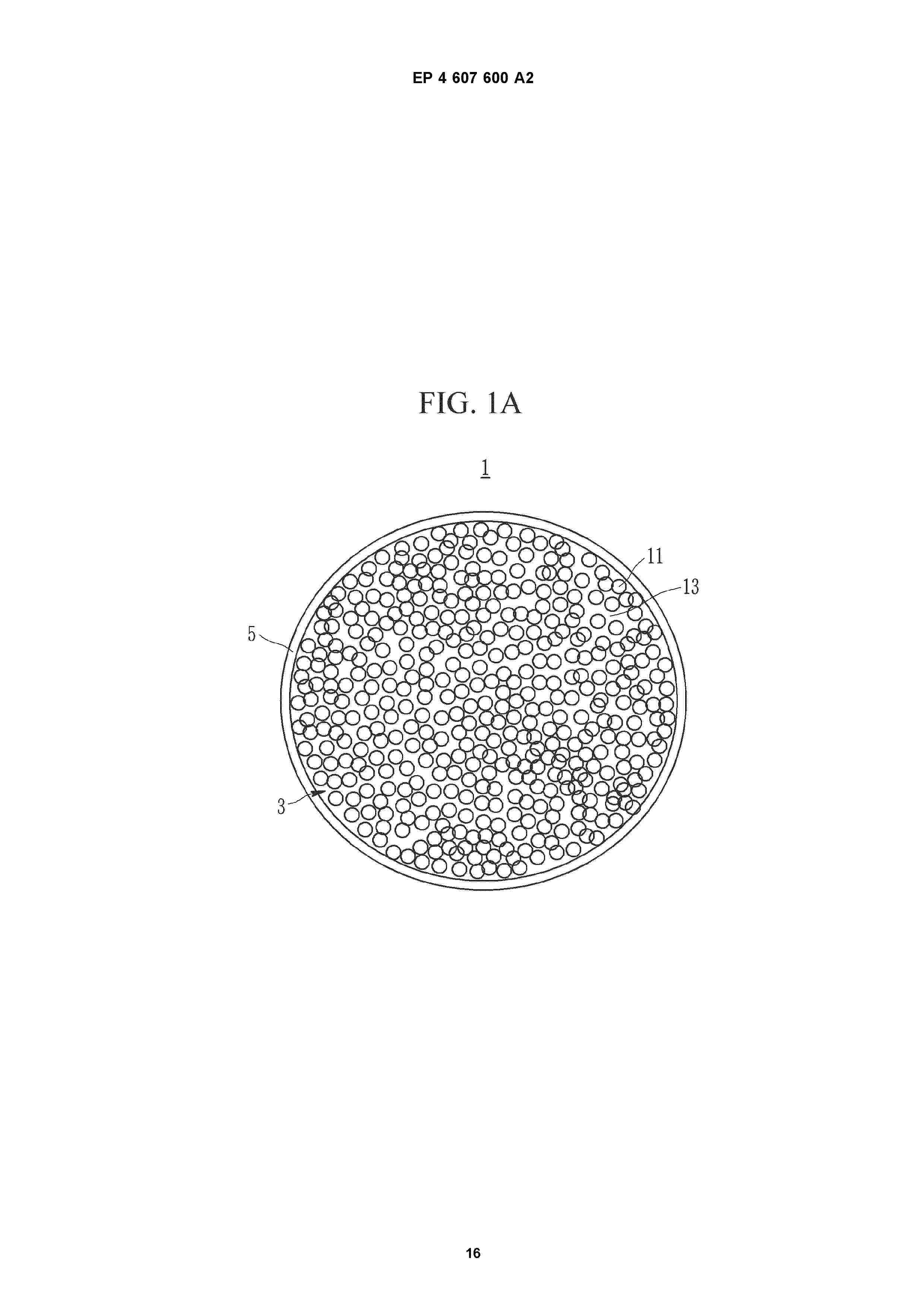 EP_4607600_A2