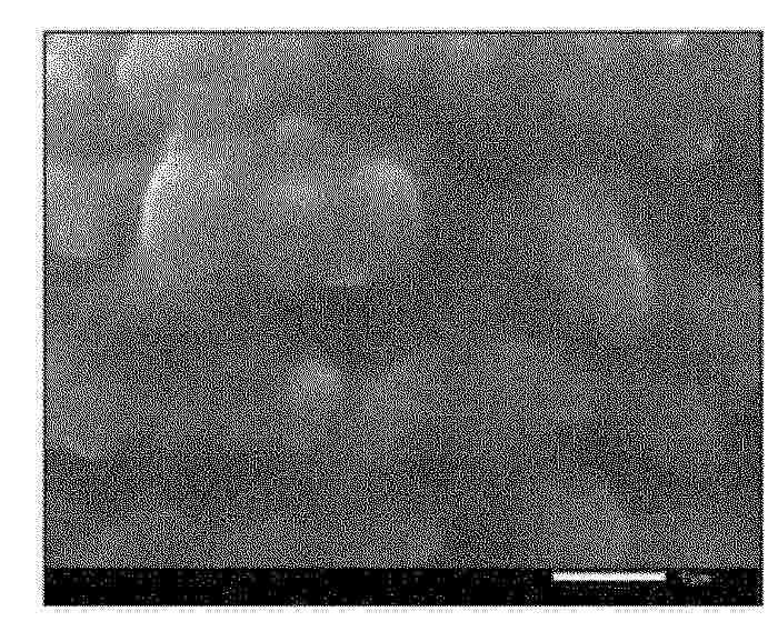 EP_4607642_PA