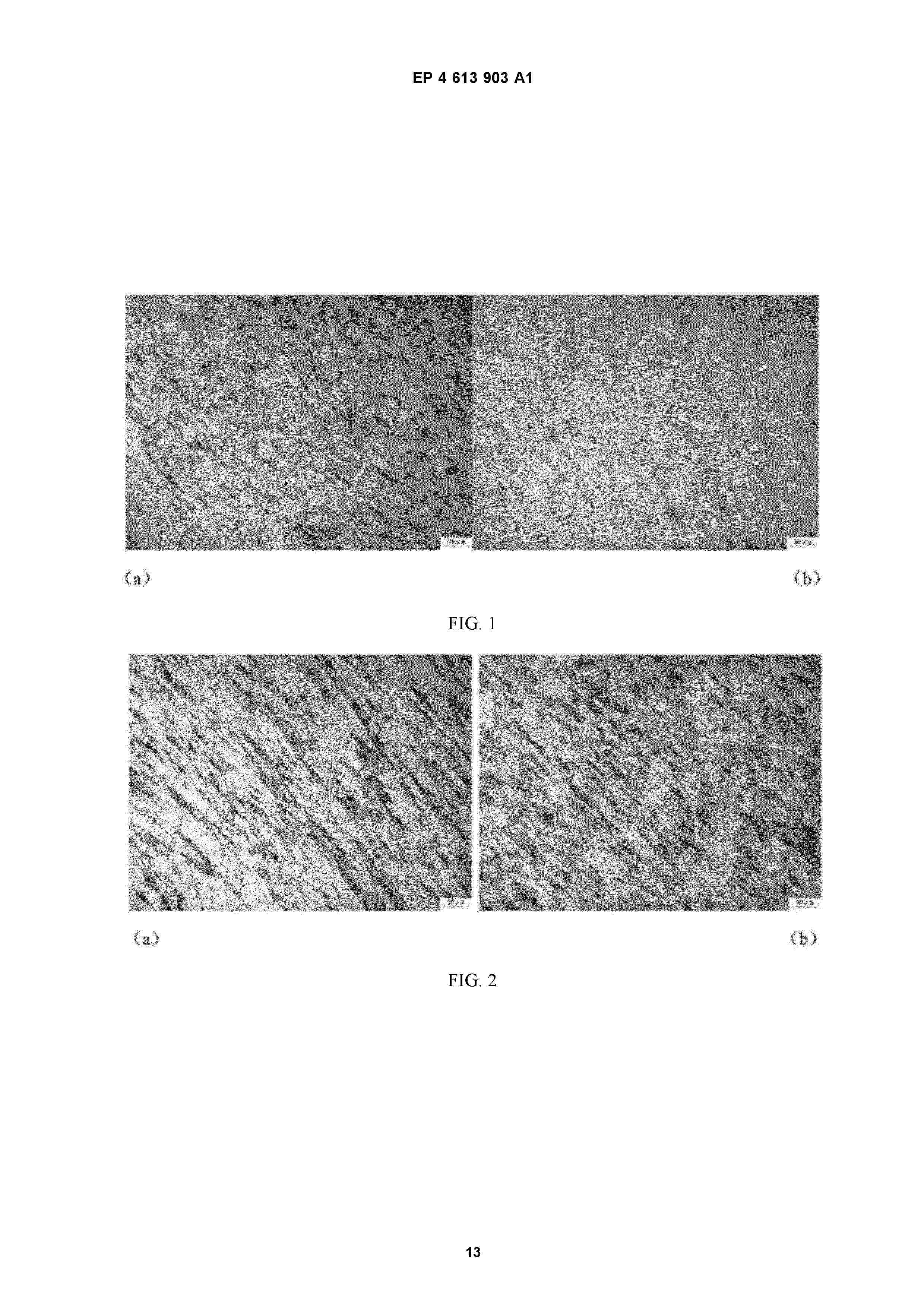EP_4613903_A1
