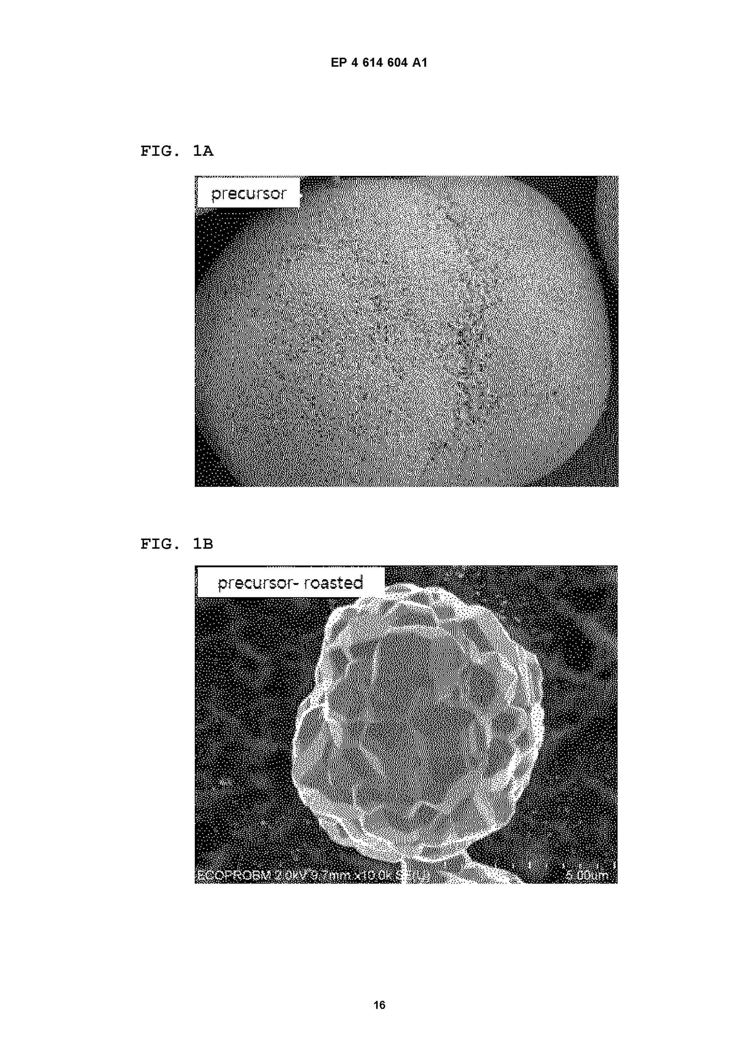 EP_4614604_A1
