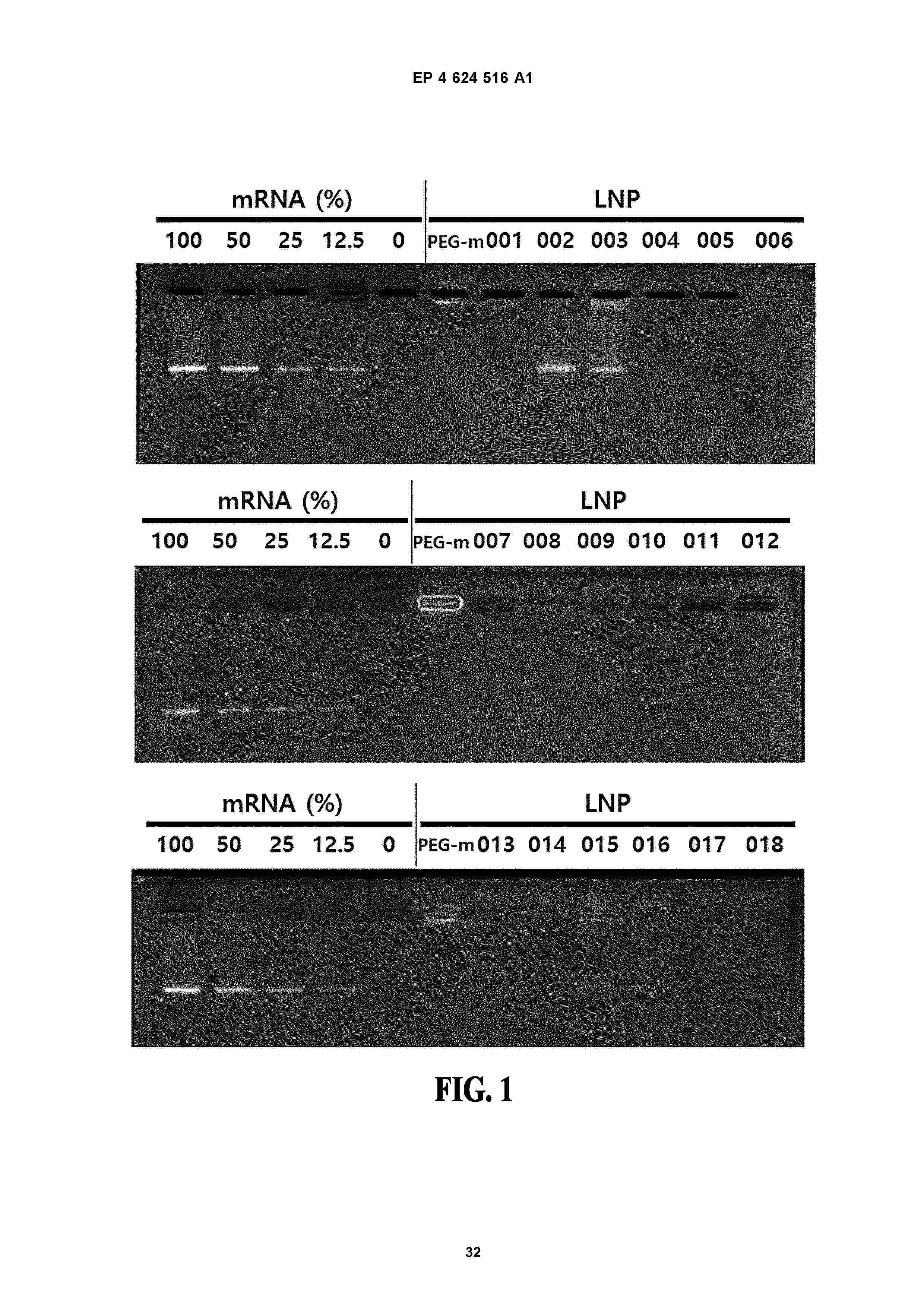 EP_4624516_A1