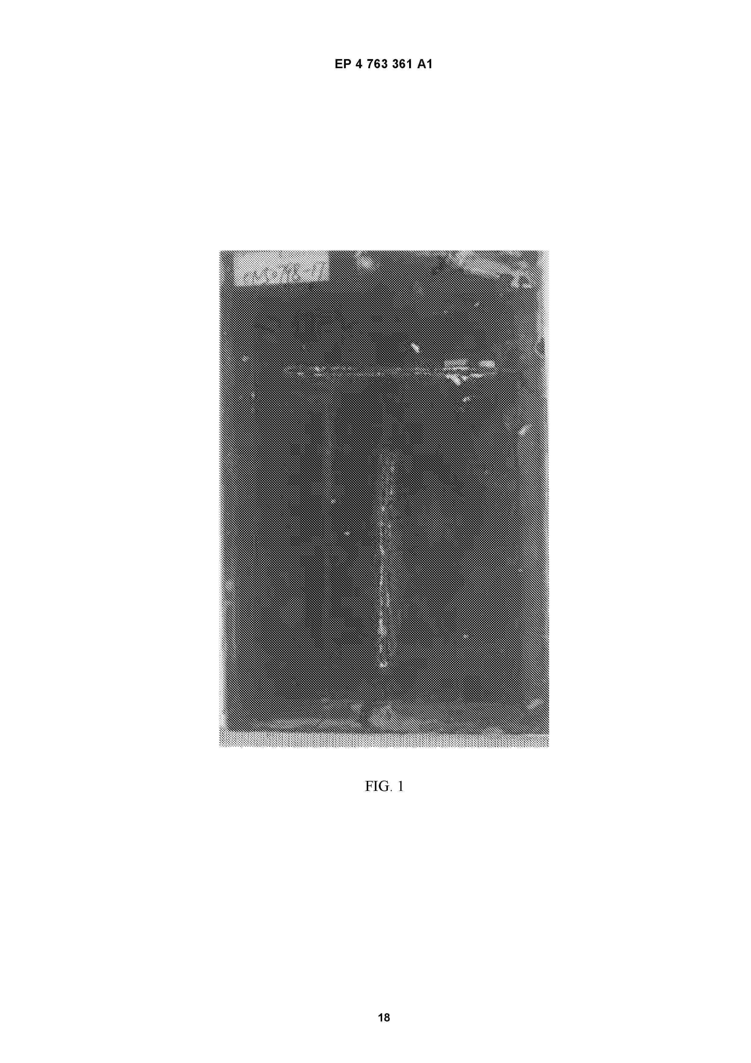 EP_4763361_A1