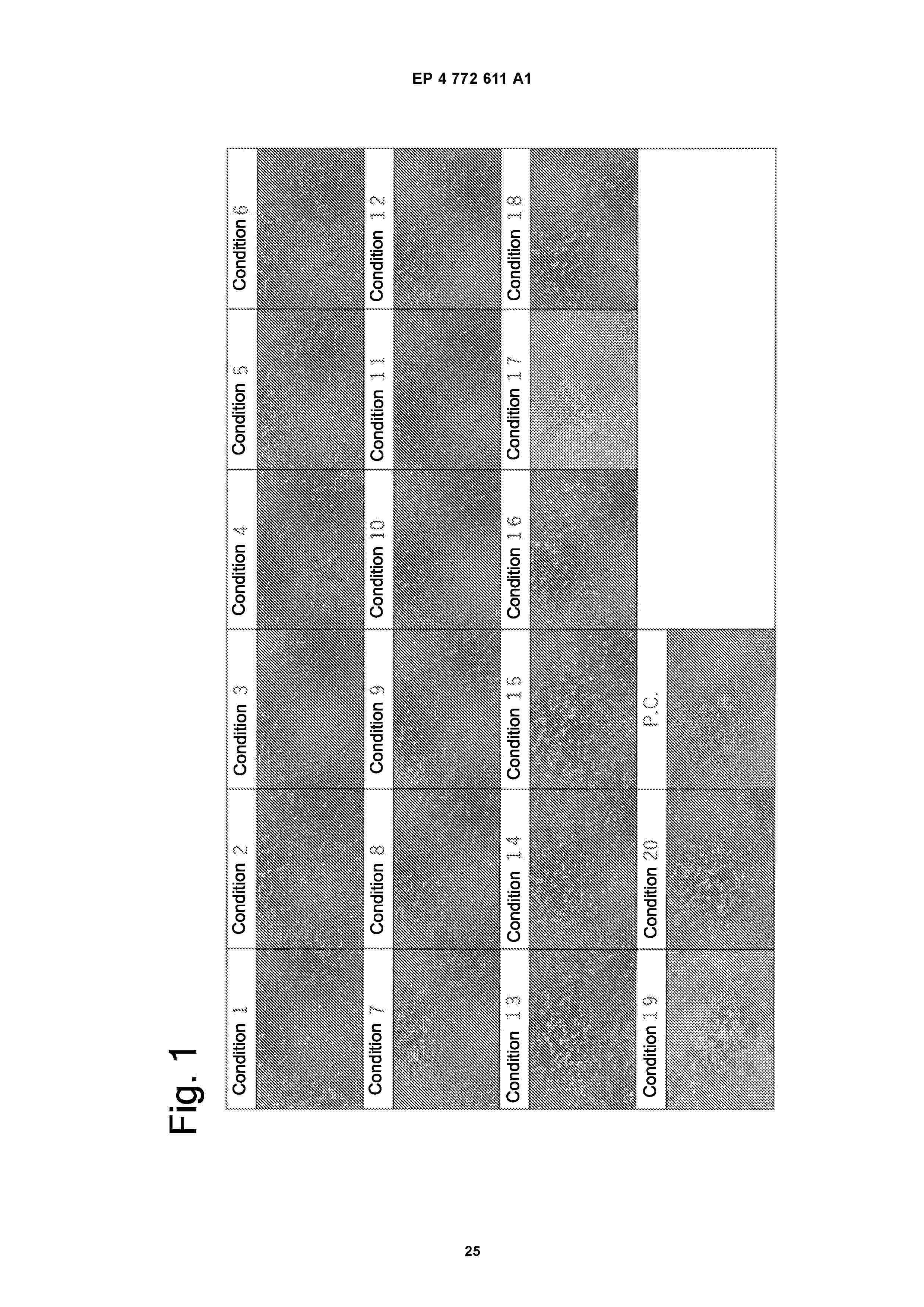 EP_4772611_A1
